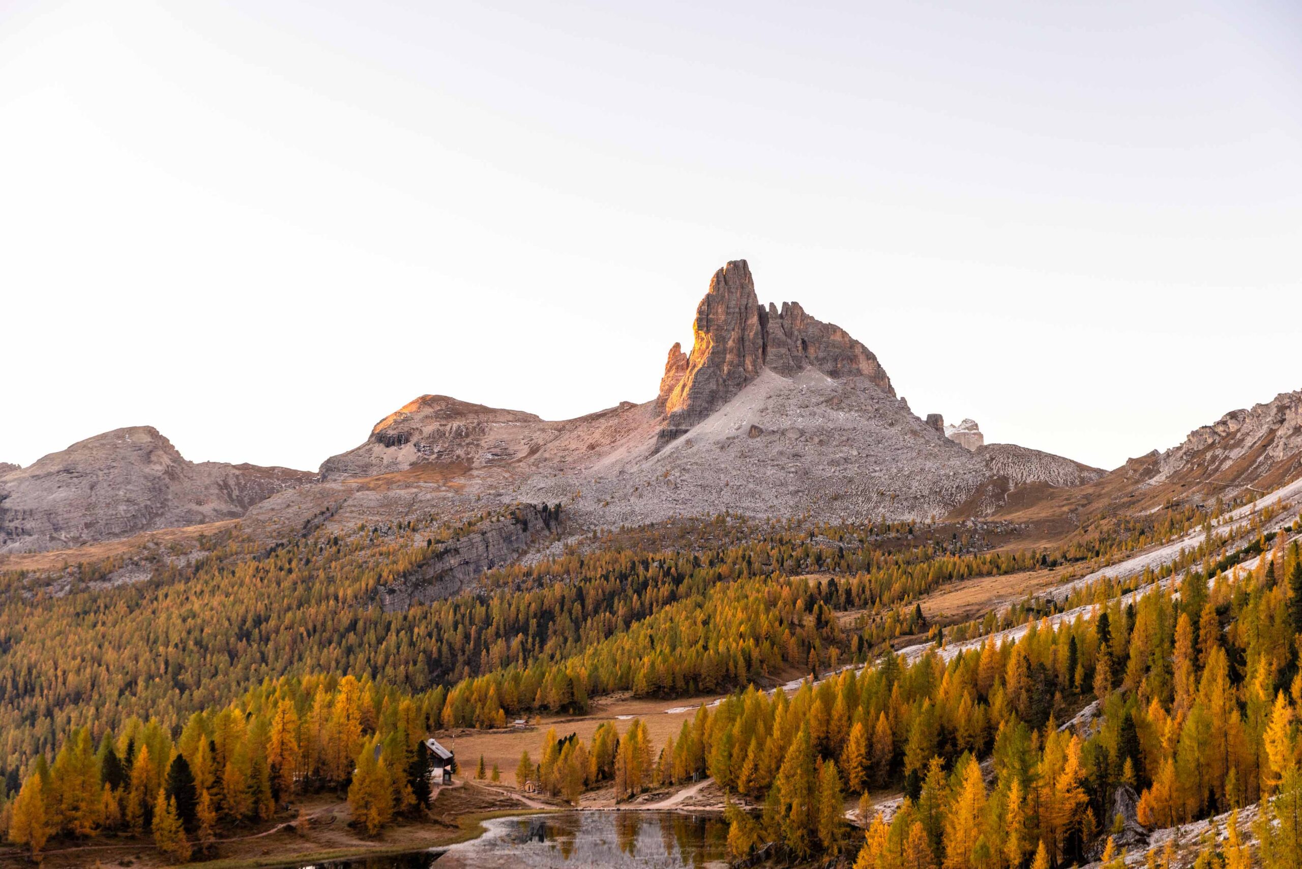mountain with golden larches in foreground